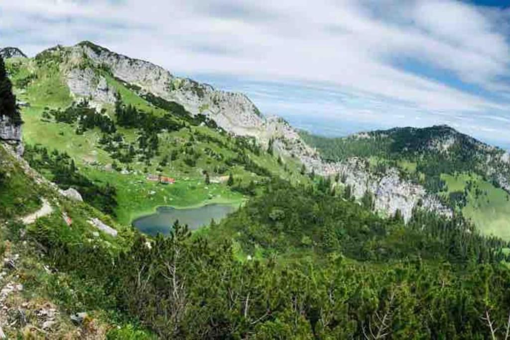 Topmodernes Studio - Sommer Im Bayerischen Inntal Brannenburg Luaran gambar